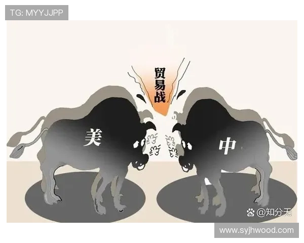 从专家视角深度解析行业发展趋势与未来战略布局及风险应对路径探讨