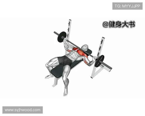 卧推握距对力量训练效果的影响及正确选择技巧分析
