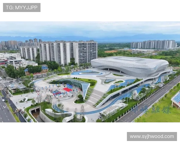 以体育线下赛事为核心打造城市活力与全民参与新生态平台发展路径