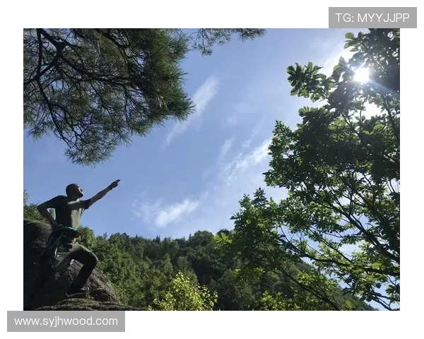 围绕种子队分档规则解析赛事格局与晋级前景展望全面解读与战略影响 - 副本 - 副本 (2)