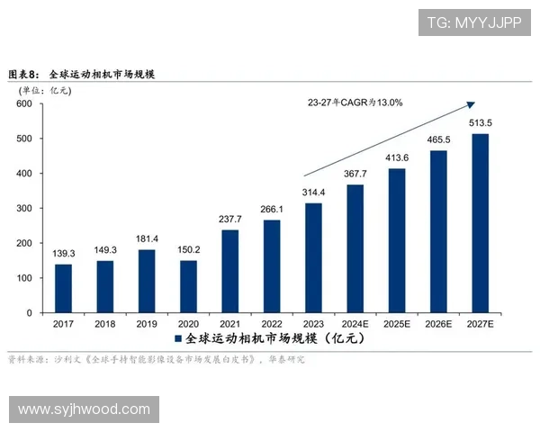 小众体育竞技术语盘点与训练策略深度指南及未来发展趋势探析全景