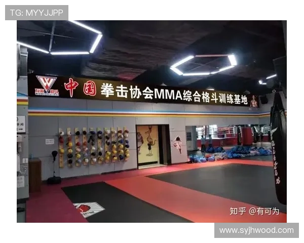 综合格斗竞技魅力与技术演进及未来发展趋势深度剖析全球格局变化 - 副本 - 副本 (2)