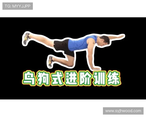 核心力量全面提升计划打造高效稳定的训练体系