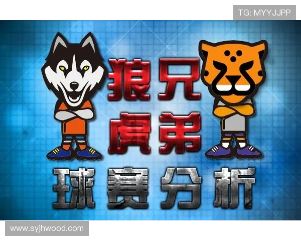 全球体育赛事数据深度解析与赛季表现趋势综合报告